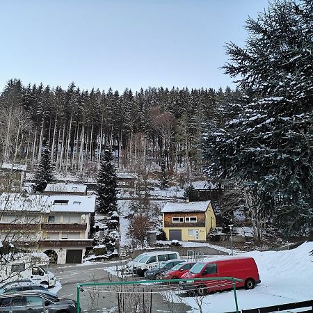 Apartmán Ferien Am Wald Baiersbronn Exteriér fotografie