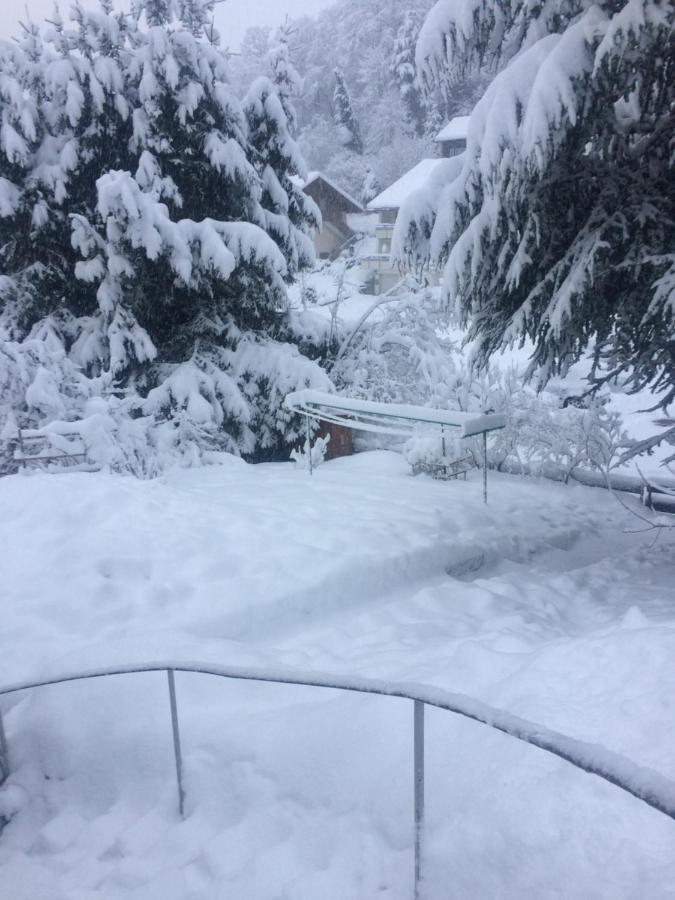 Apartmán Ferien Am Wald Baiersbronn Exteriér fotografie