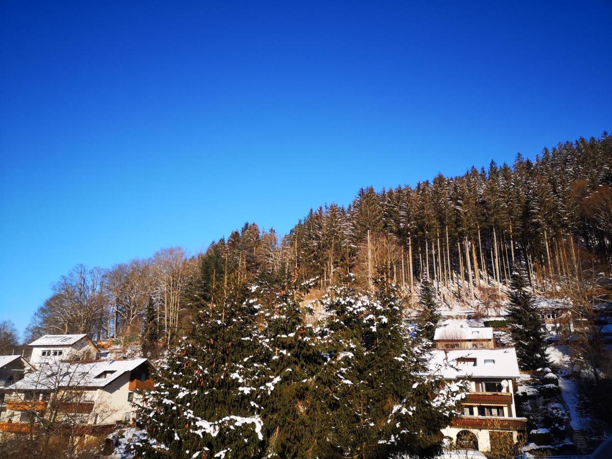Apartmán Ferien Am Wald Baiersbronn Exteriér fotografie
